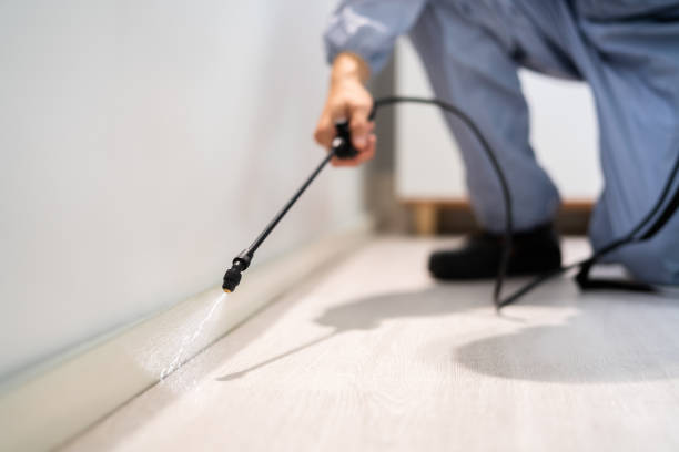 Licensed Termite Control service in Narrows, VA - Nex Pest Control