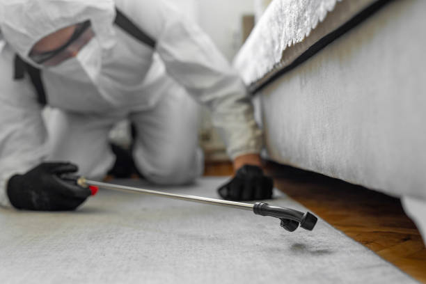 Professional Termite Control technician working in Narrows, VA