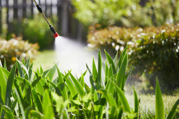 24/7 Emergency Termite Control experts in Narrows, VA
