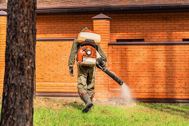 Top rated local Termite Control specialists in Narrows, VA